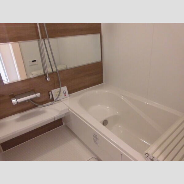 バス (一坪風呂)