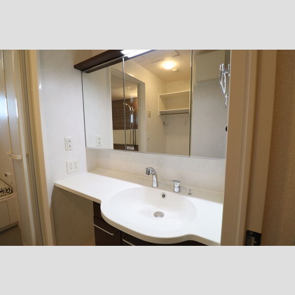 洗面所 (洗髪洗面化粧台)