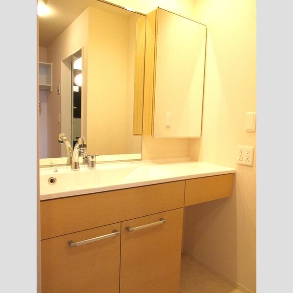 洗面所 (洗髪洗面化粧台)