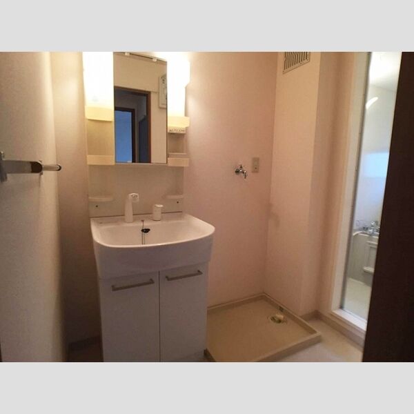 洗面所 (洗髪洗面化粧台)