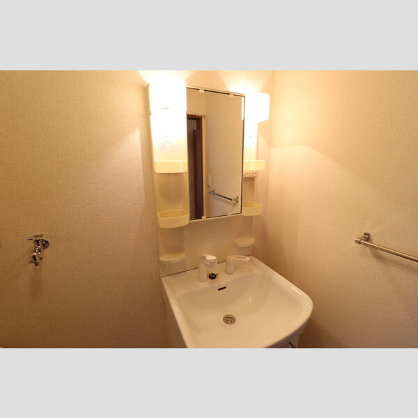 洗面所 (洗髪洗面化粧台)