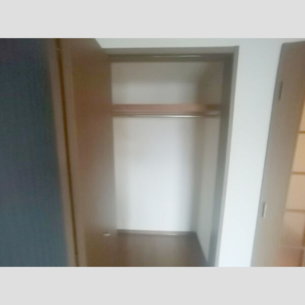 収納 (クローゼット)