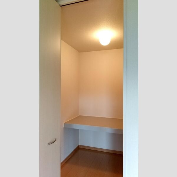 収納 (ウォークインクローゼット)