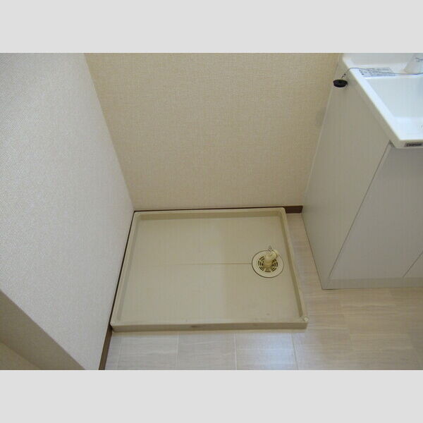 その他 (室内洗濯機置き場)