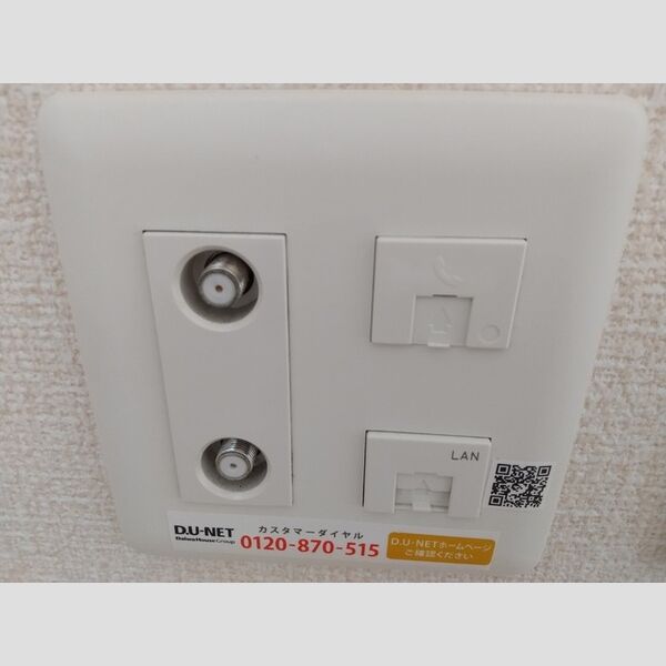 その他 (ネット)