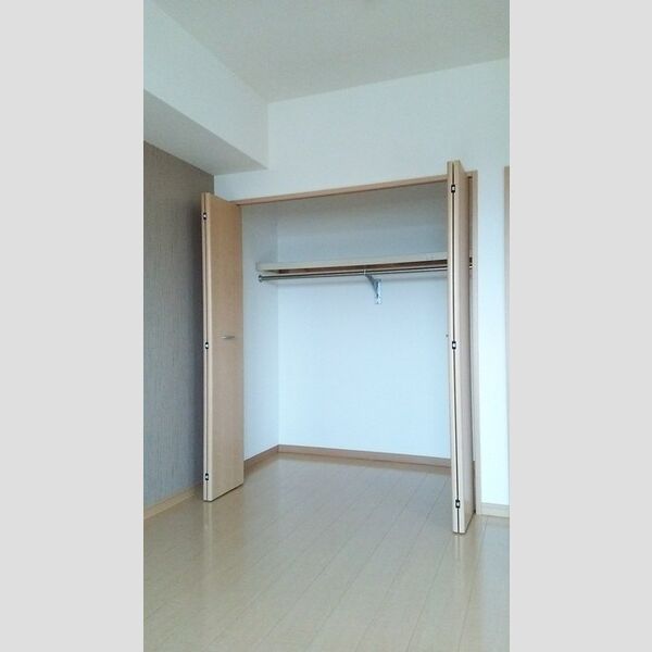 収納 (クローゼット)