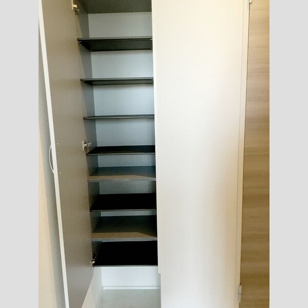 玄関 (シューズボックス)