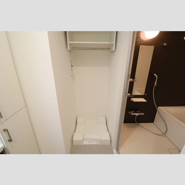 その他 (室内洗濯機置き場)