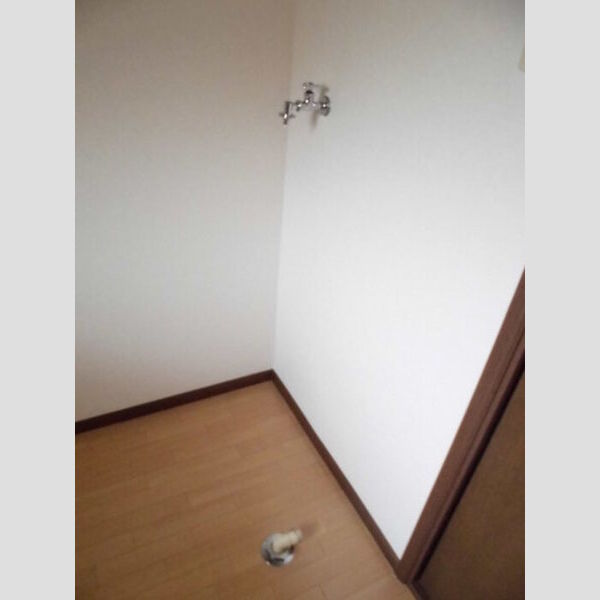 その他 (室内洗濯機置き場)