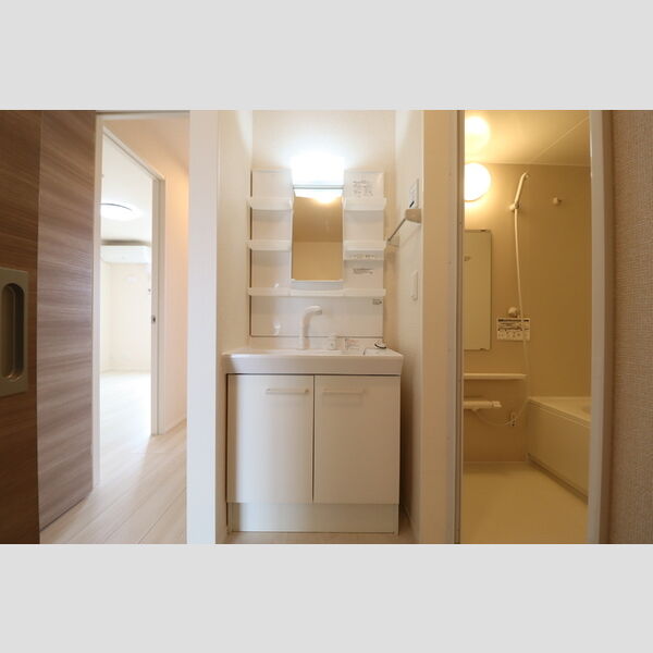 洗面所 (洗髪洗面化粧台)