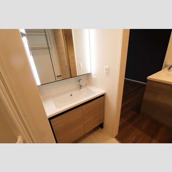 洗面所 (洗髪洗面化粧台)