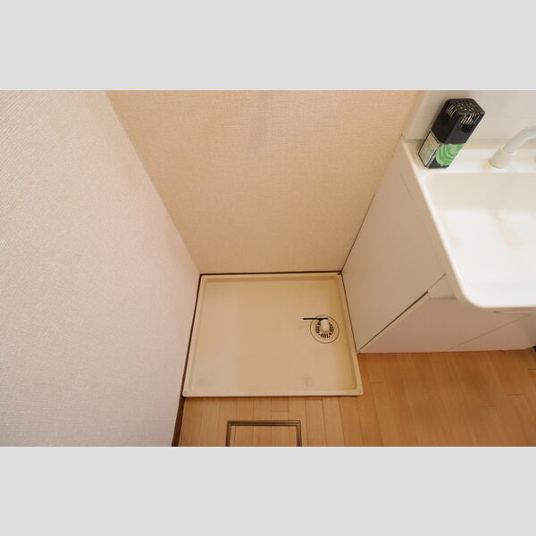 その他 (室内洗濯機置き場)