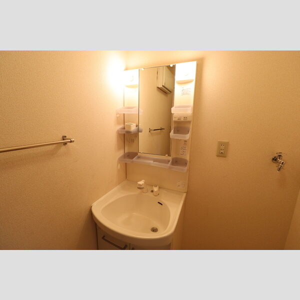 洗面所 (洗髪洗面化粧台)