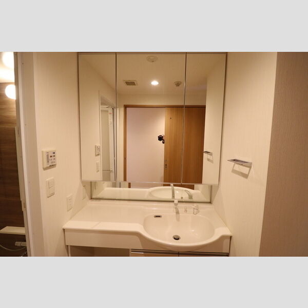 洗面所 (洗髪洗面化粧台)