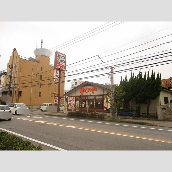 現地周辺 (かつや(545m徒歩7分))