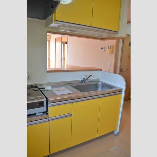 キッチン (対面キッチン電気調理器(IHヒーター))