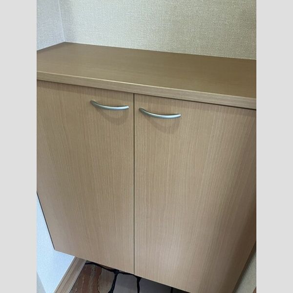 玄関 (シューズボックス有)