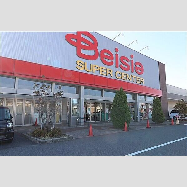 現地周辺 (ベイシア木更津金田店　507m)