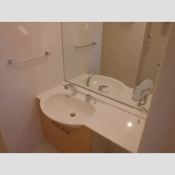 洗面所 (洗面室201)