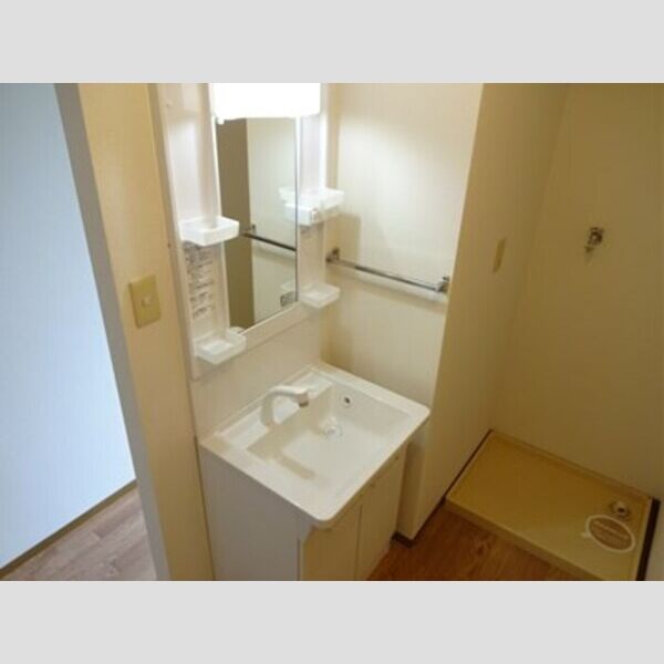 洗面所 (洗髪洗面化粧台)