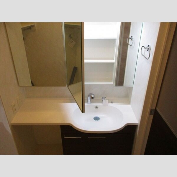 洗面所 (洗髪洗面化粧台)