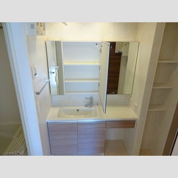 洗面所 (洗髪洗面化粧台)