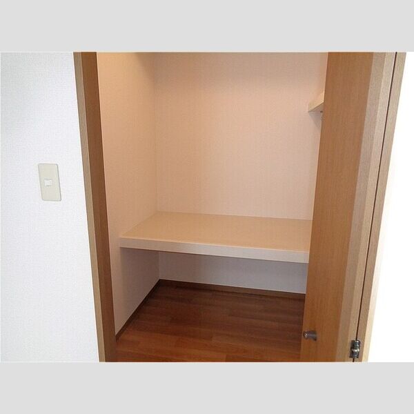 収納 (ウォークインクローゼット)