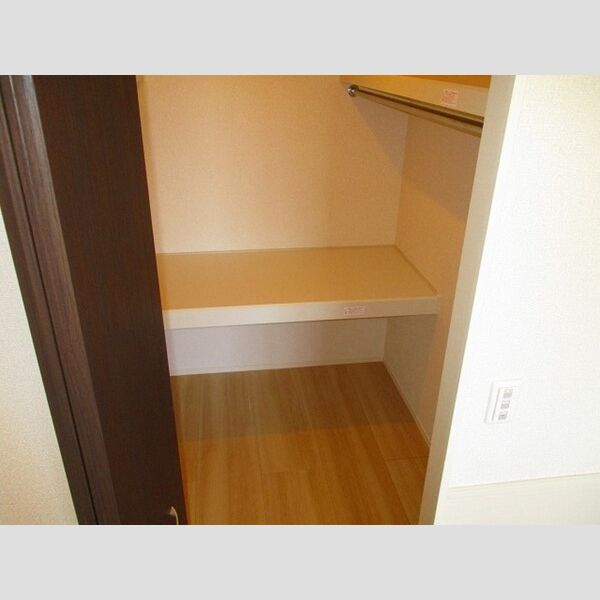 収納 (ウォークインクローゼット)