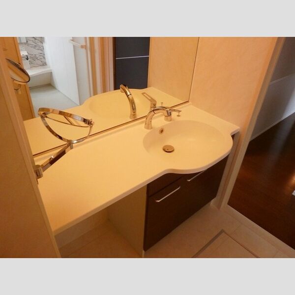 洗面所 (洗髪洗面化粧台)