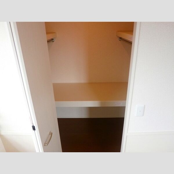 収納 (ウォークインクローゼット)