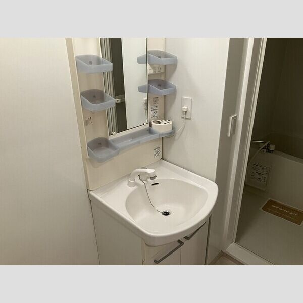 洗面所 (洗髪洗面化粧台)