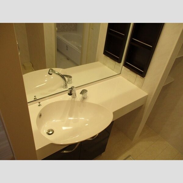 洗面所 (洗髪洗面化粧台)