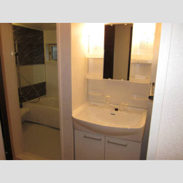 洗面所 (洗髪洗面化粧台)