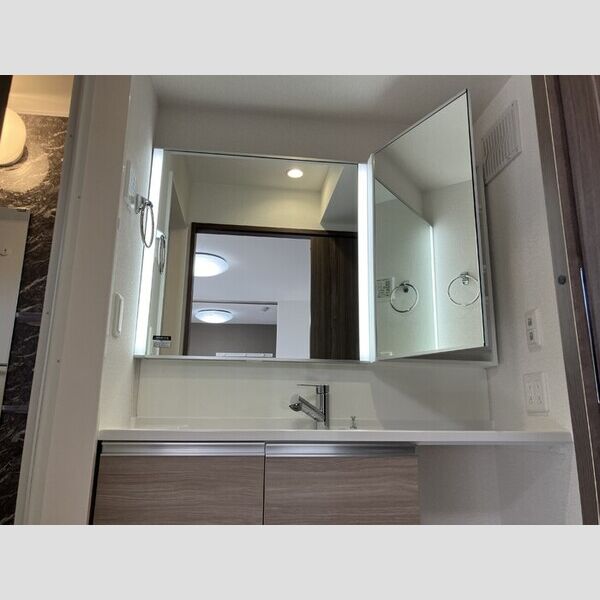 洗面所 (洗髪洗面化粧台)