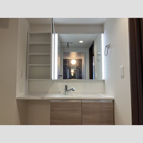 洗面所 (洗髪洗面化粧台)