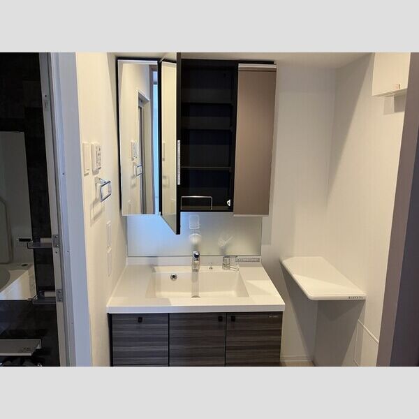 洗面所 (洗髪洗面化粧台)