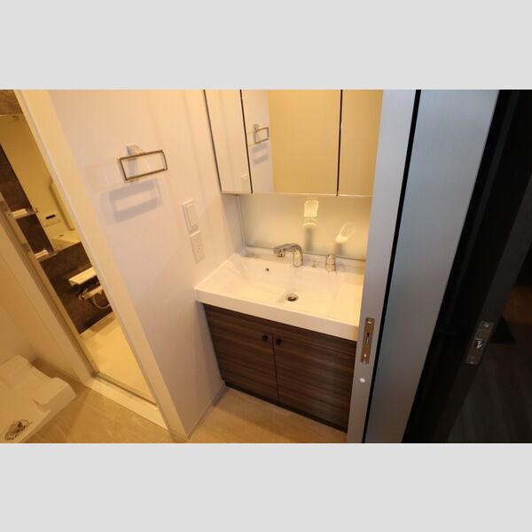 洗面所 (洗髪洗面化粧台)