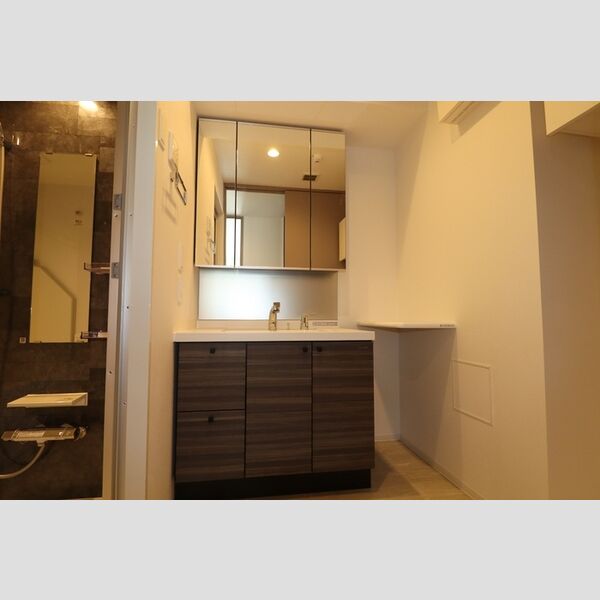 洗面所 (洗髪洗面化粧台)