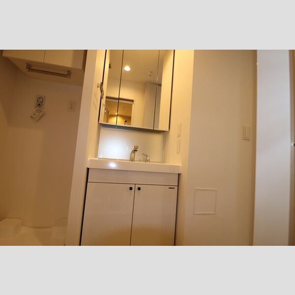 洗面所 (洗髪洗面化粧台)