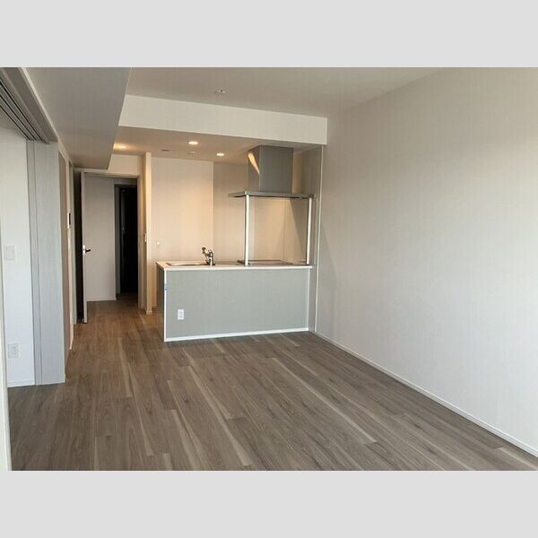 居室・リビング (システムキッチン)