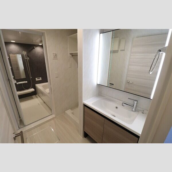 洗面所 (洗髪洗面化粧台)