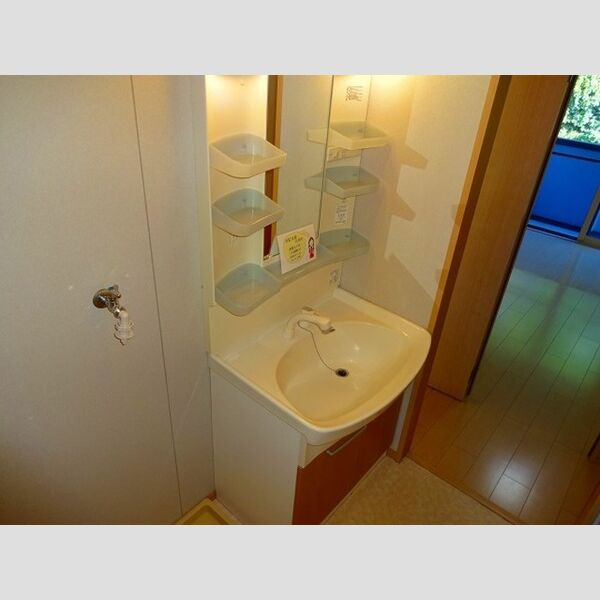 洗面所 (洗髪洗面化粧台)