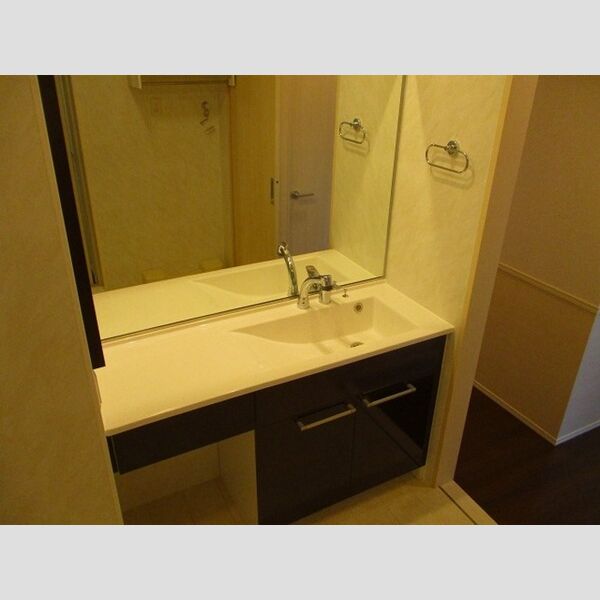 洗面所 (洗髪洗面化粧台)