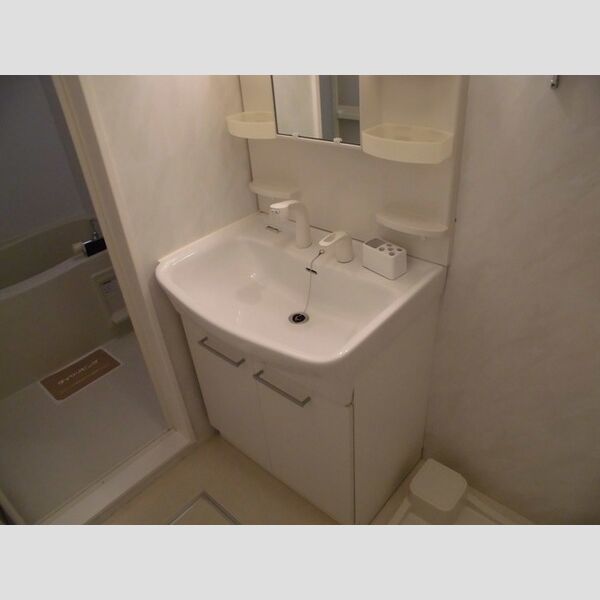 洗面所 (洗髪洗面化粧台)