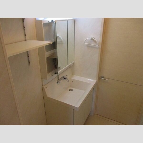 洗面所 (洗髪洗面化粧台)