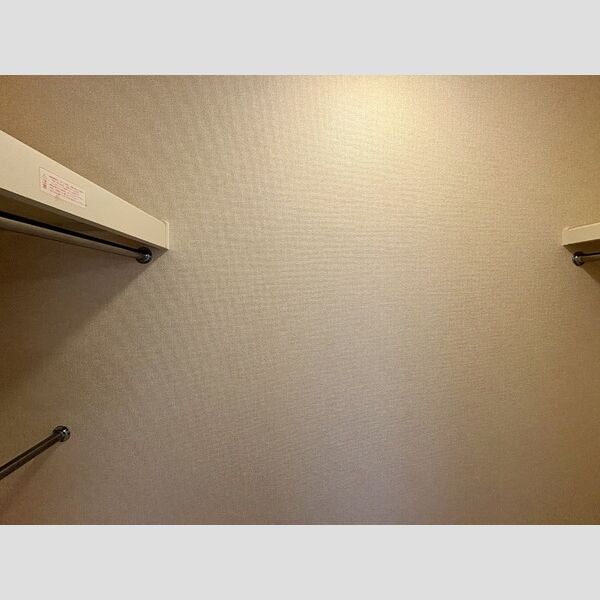 収納 (ウォークインクローゼット)