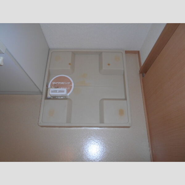 その他 (室内洗濯機置場)