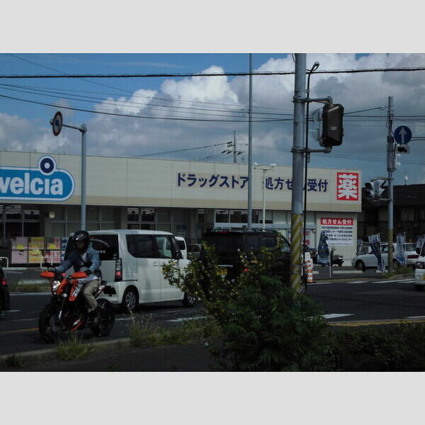 現地周辺 (ドラッグストア)