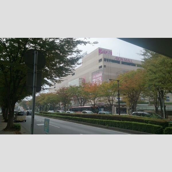 現地周辺 (八千代緑が丘駅周辺大型ショッピングセンター)