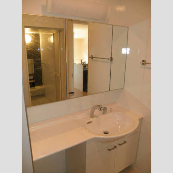 洗面所 (洗面室(※反転タイプあり))